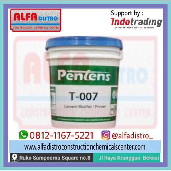 Pentens T-007 Acrilic Polymer Cement 
