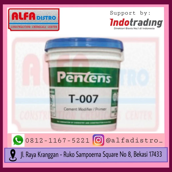 Pentens T-007 Acrilic Polymer Cement 